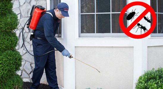 Koçarlı Karınca İlaçlama böcek ilaçlama ve haşere kontrolü — ilaclama-tr.com